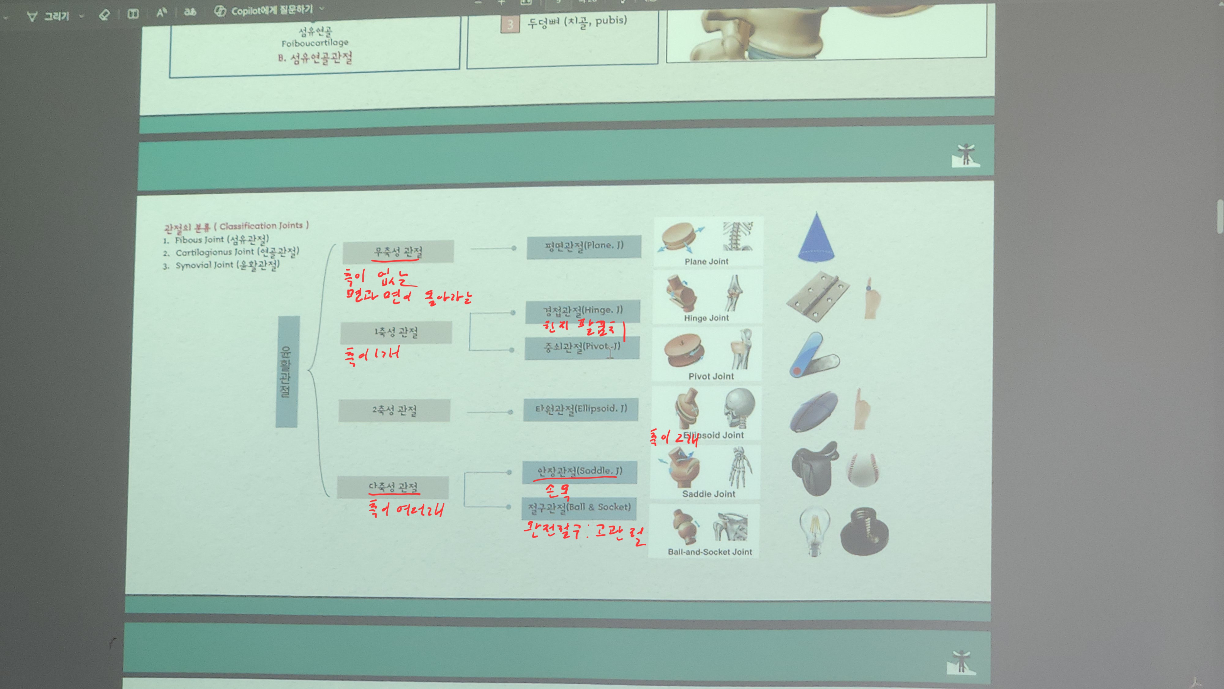 원본사진