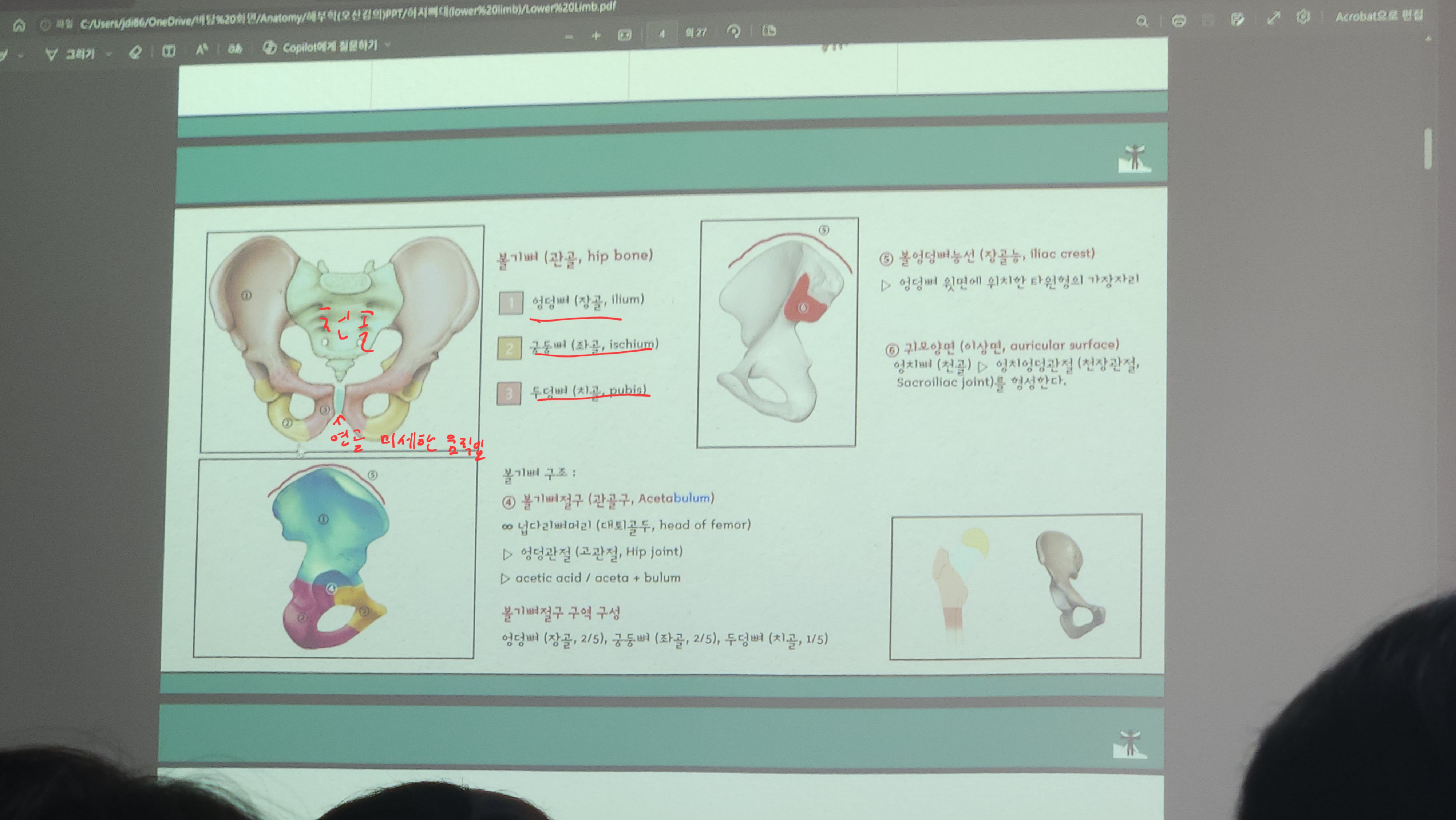 원본사진