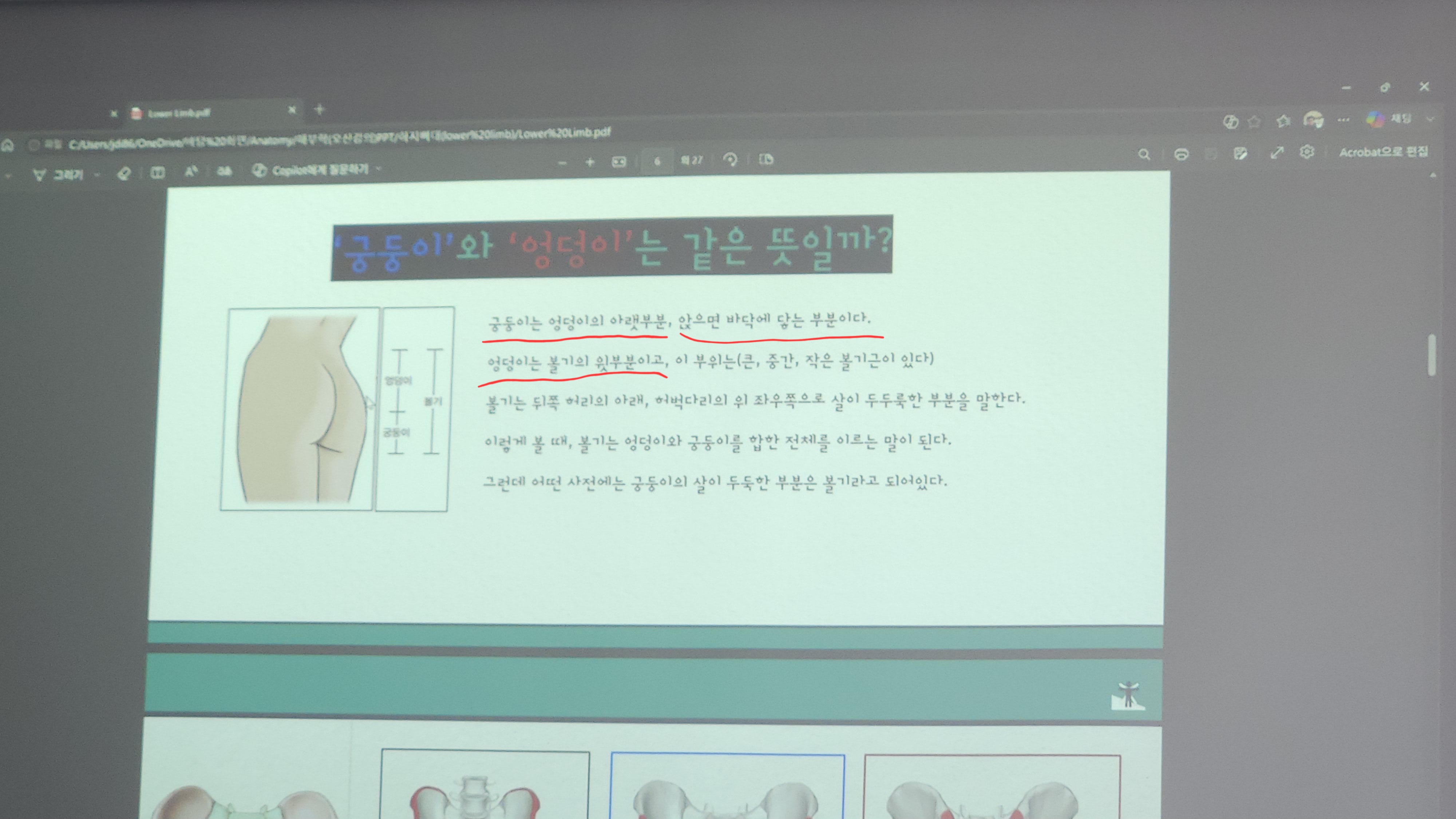 원본사진