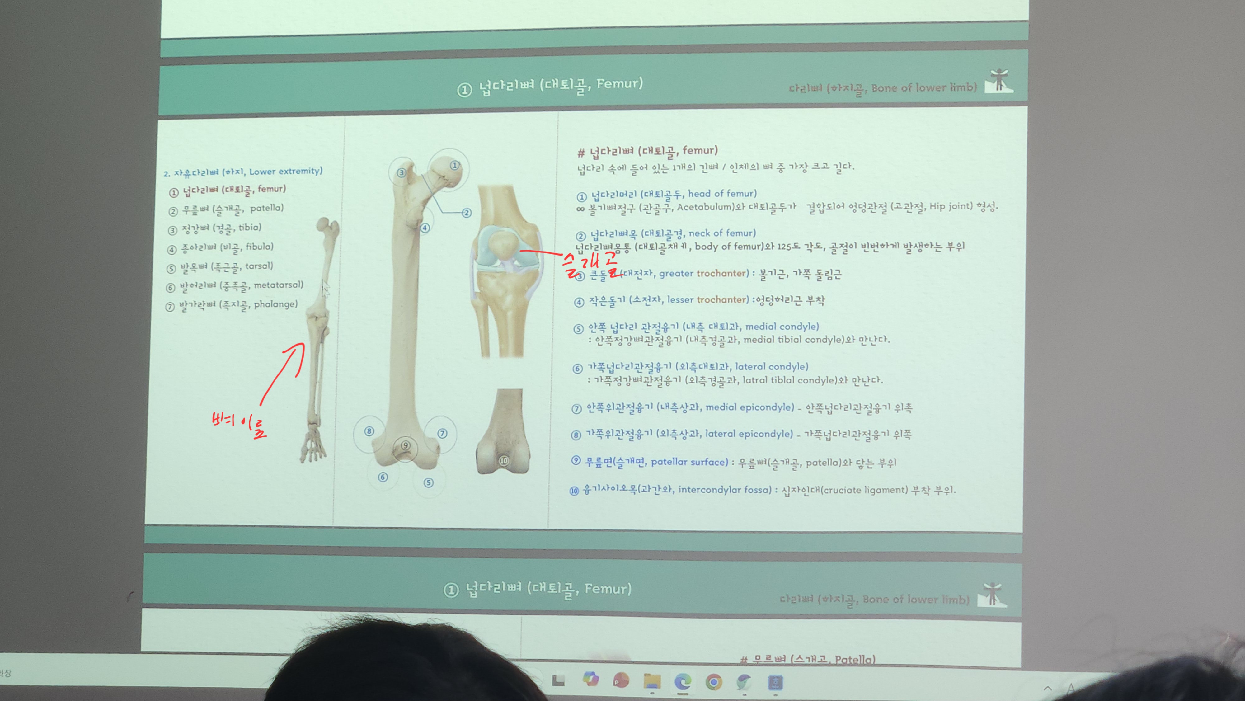 원본사진