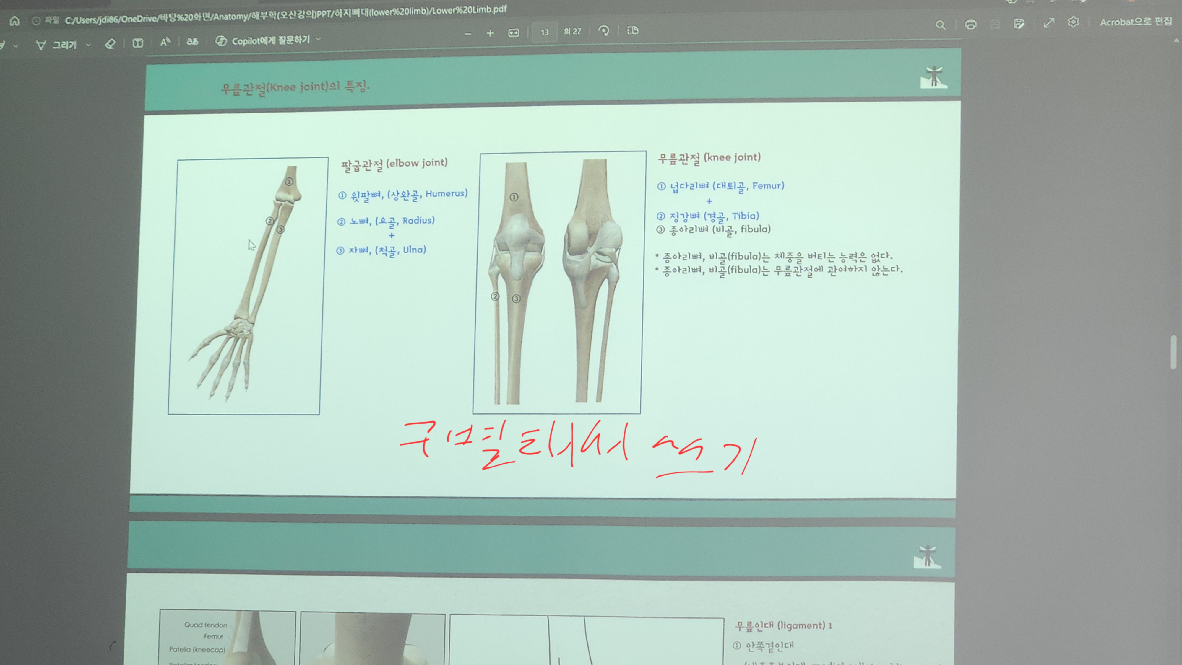 원본사진