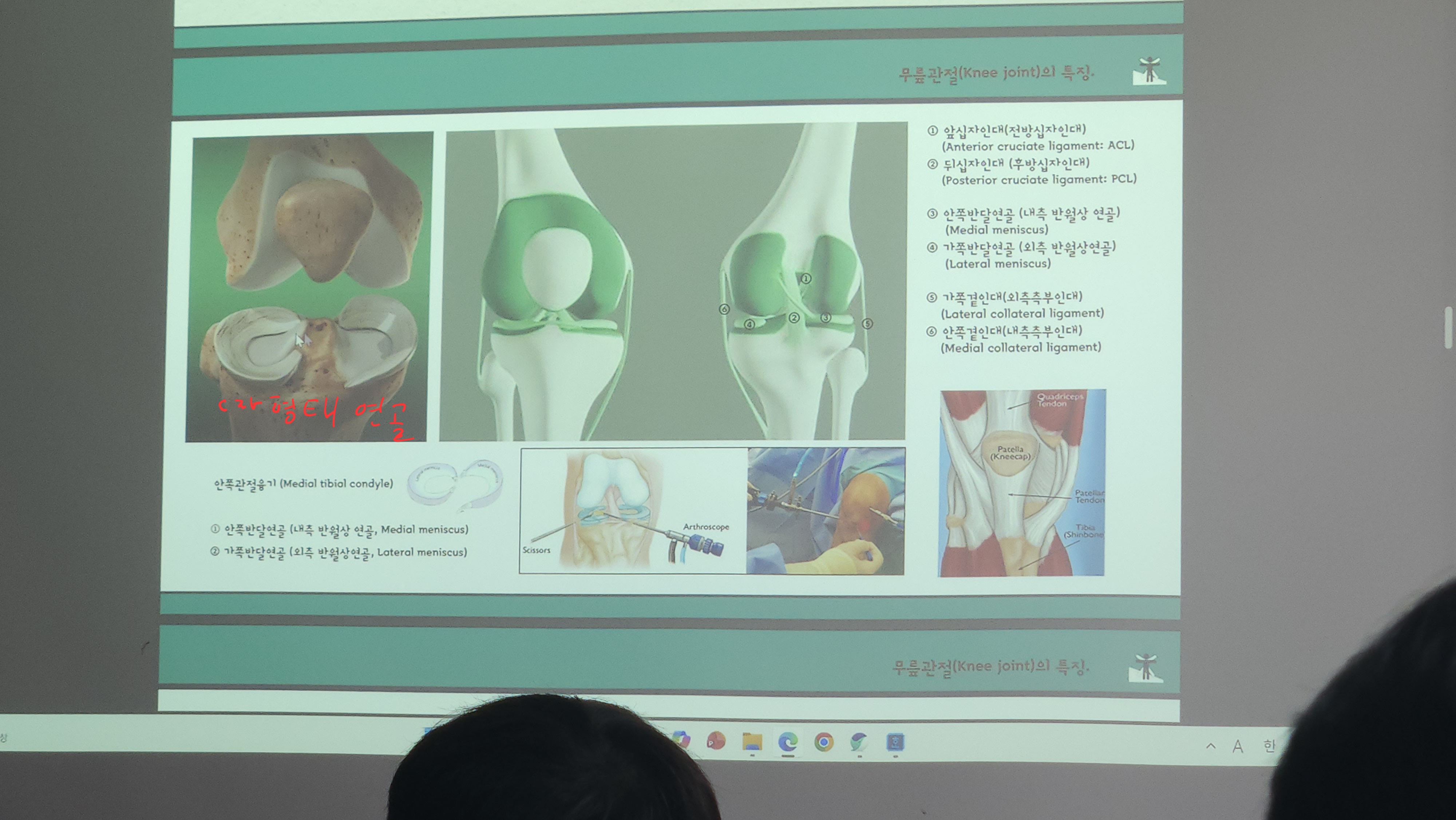 원본사진