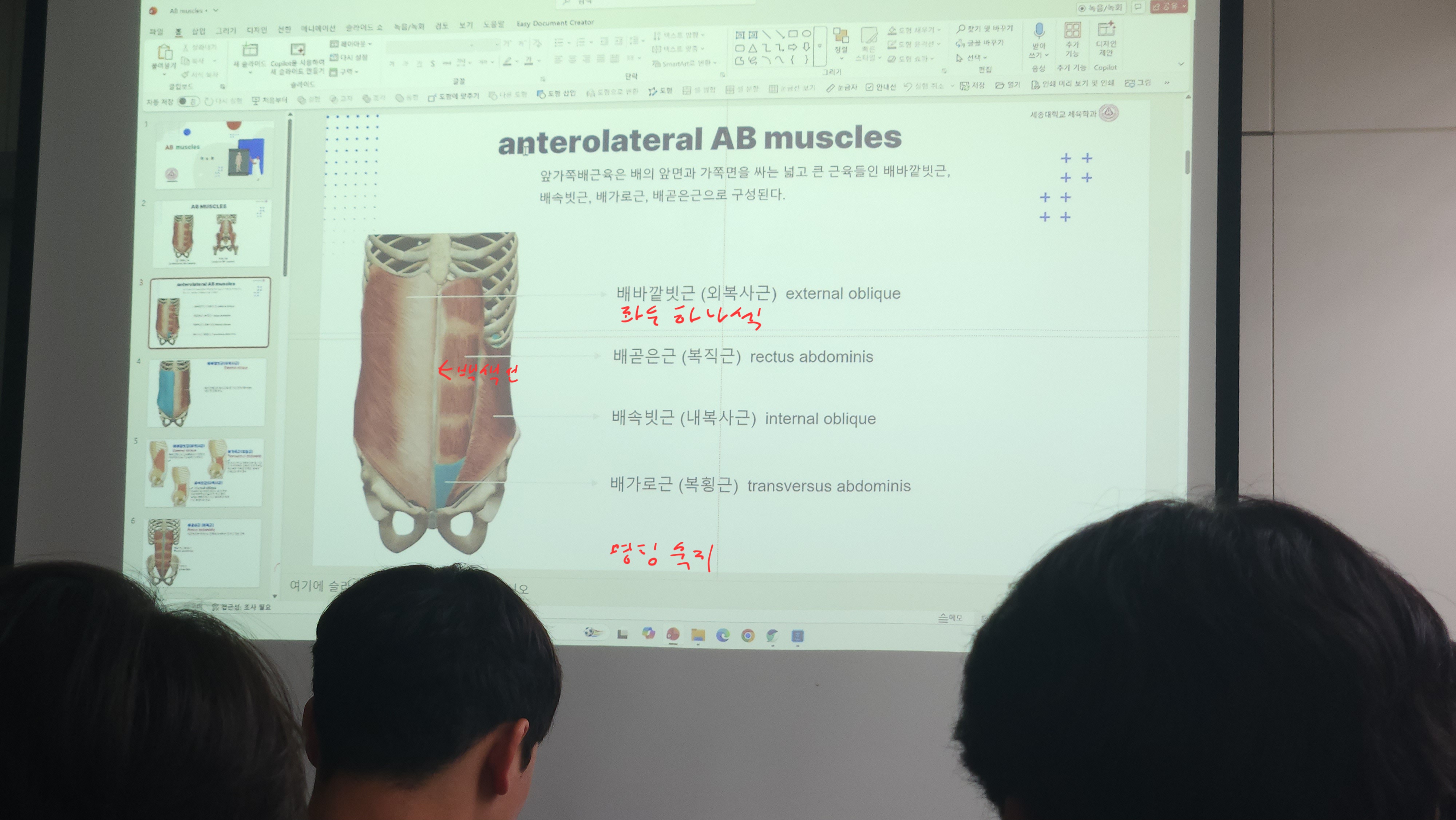 원본사진