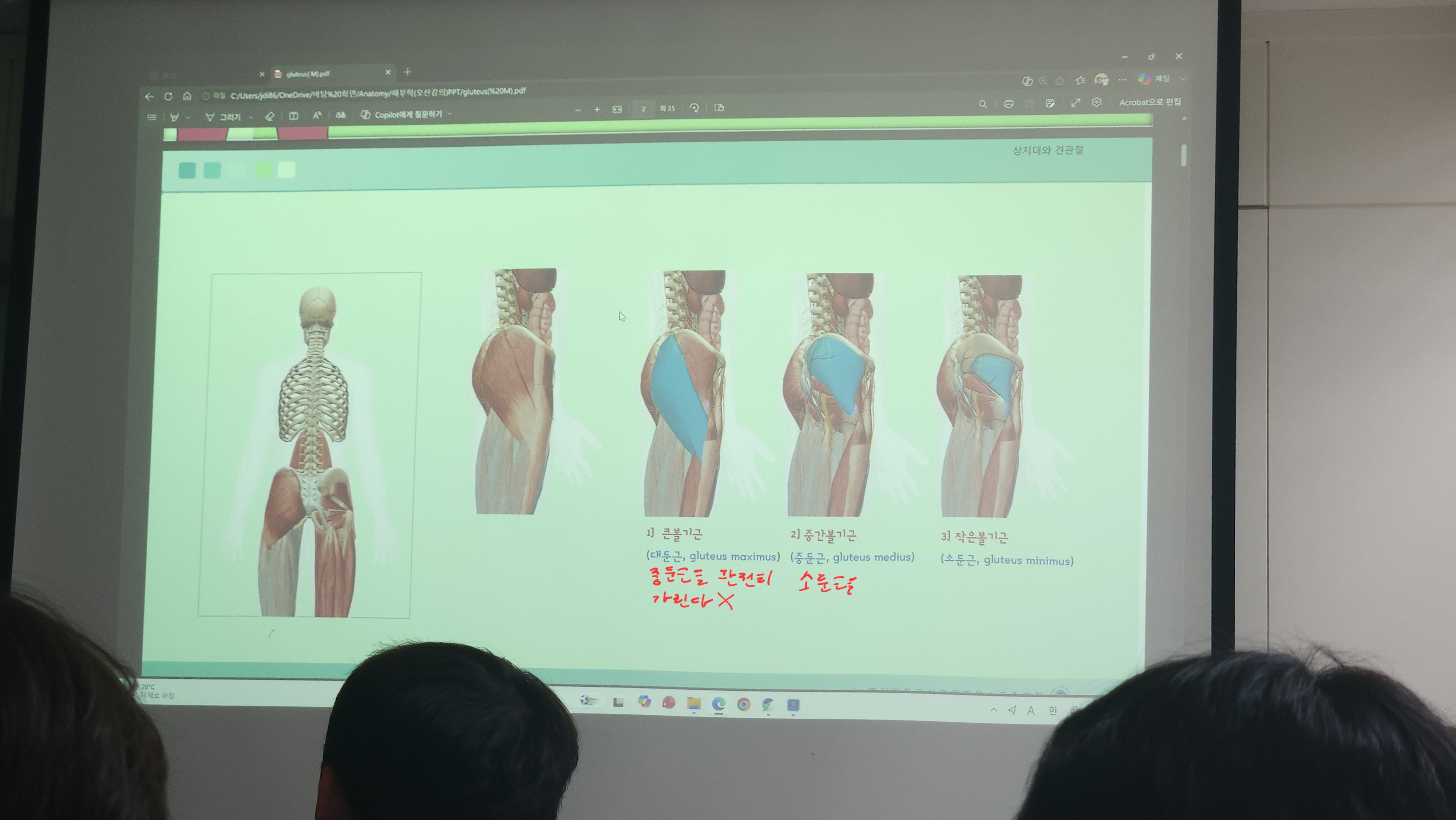 원본사진