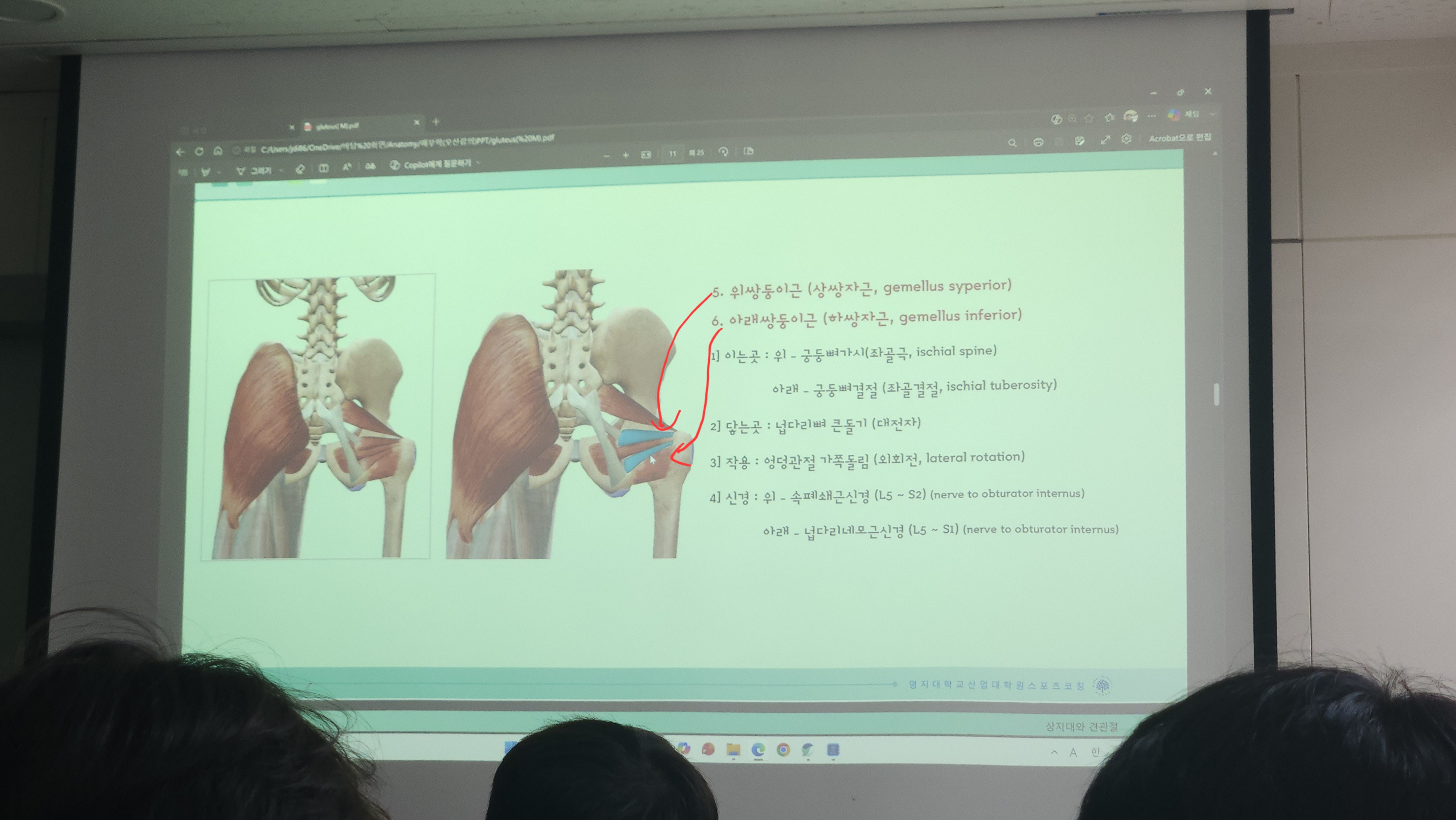 원본사진