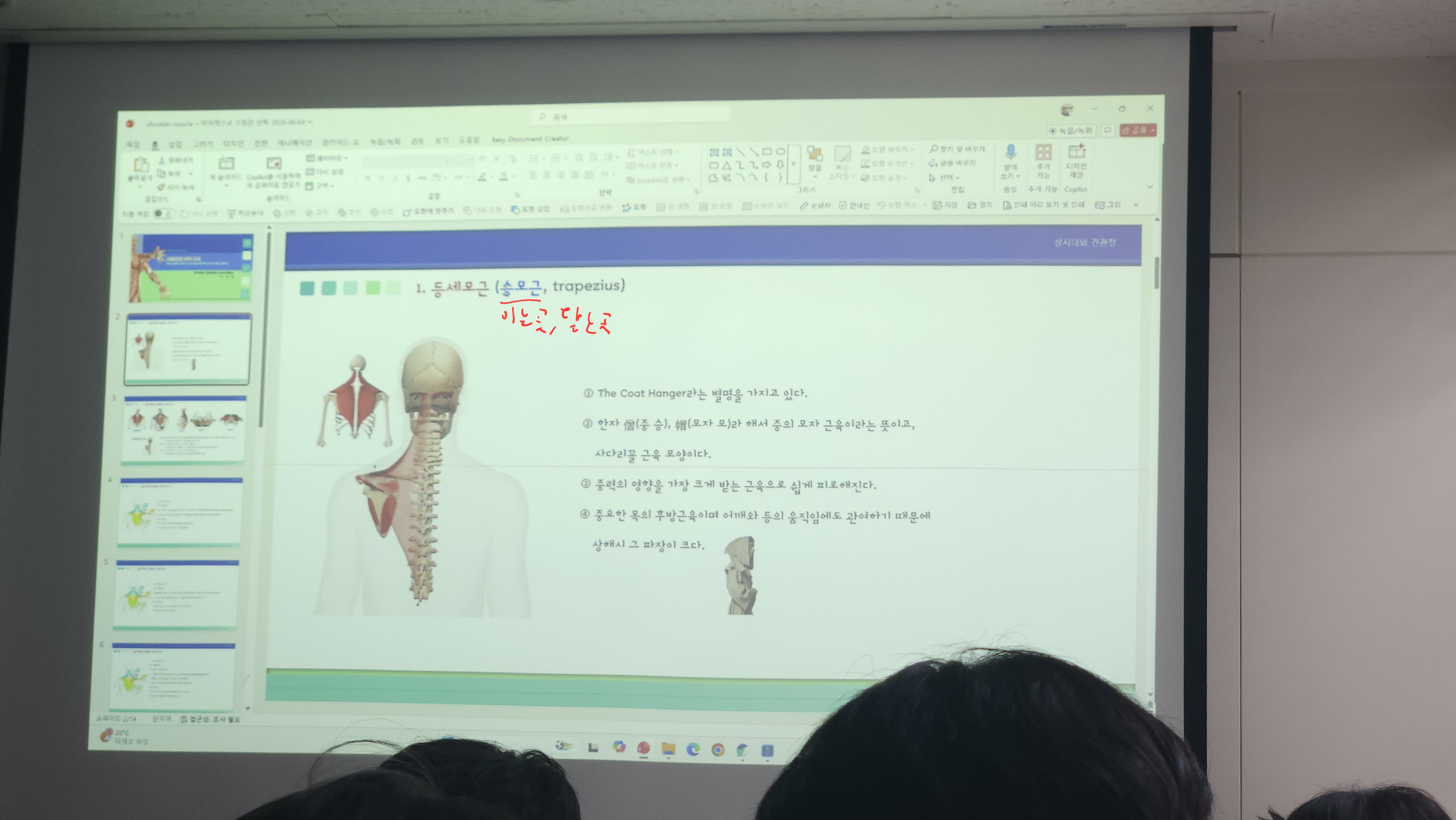 원본사진
