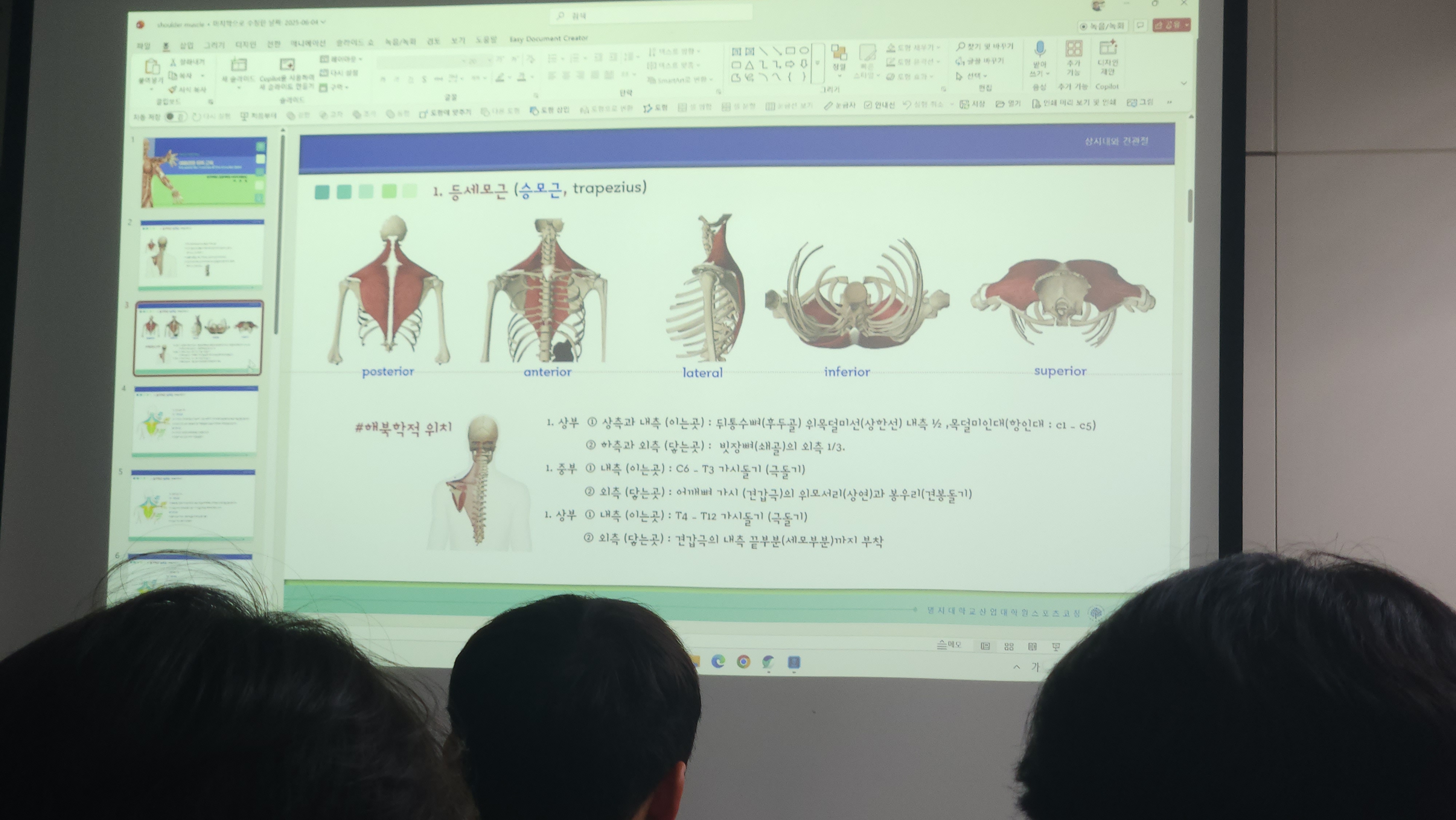 원본사진