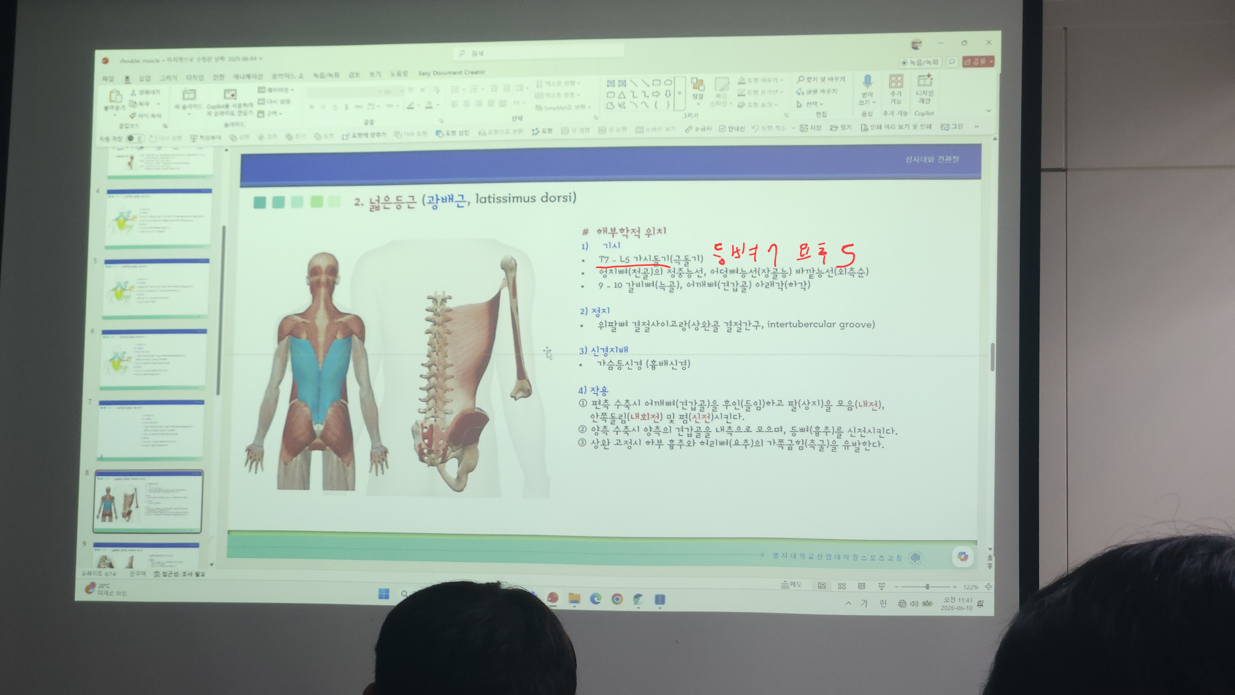 원본사진
